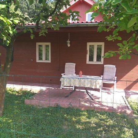 Rustic Country House In Snagov公寓 外观 照片
